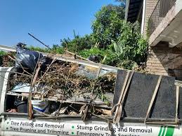 Best Basement Cleanout  in Rio Bravo, TX